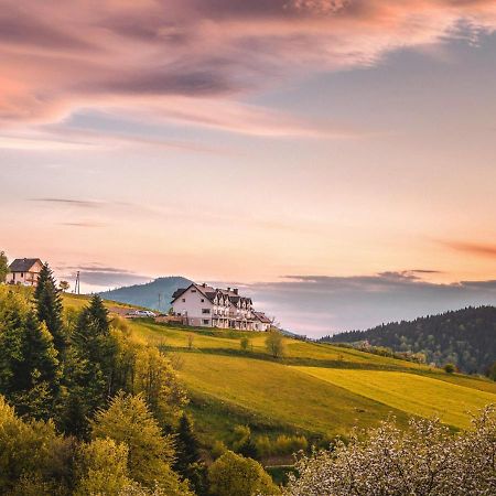 Bed and Breakfast Blizej Nieba Skrzydlna Exterior foto