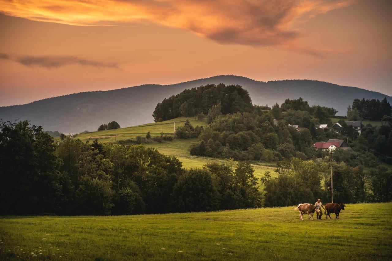 Bed and Breakfast Blizej Nieba Skrzydlna Exterior foto